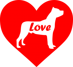 staffordshire bull terrier-red